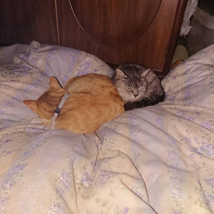 Efca3580 87bb 45a2 917c 4a7973089f8b 1587824052532