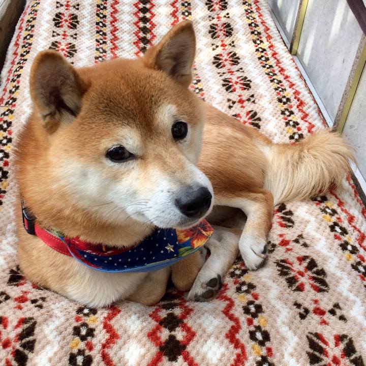 Efca3adc 6f66 4b4c ba52 c88de96c1198 1512098189660