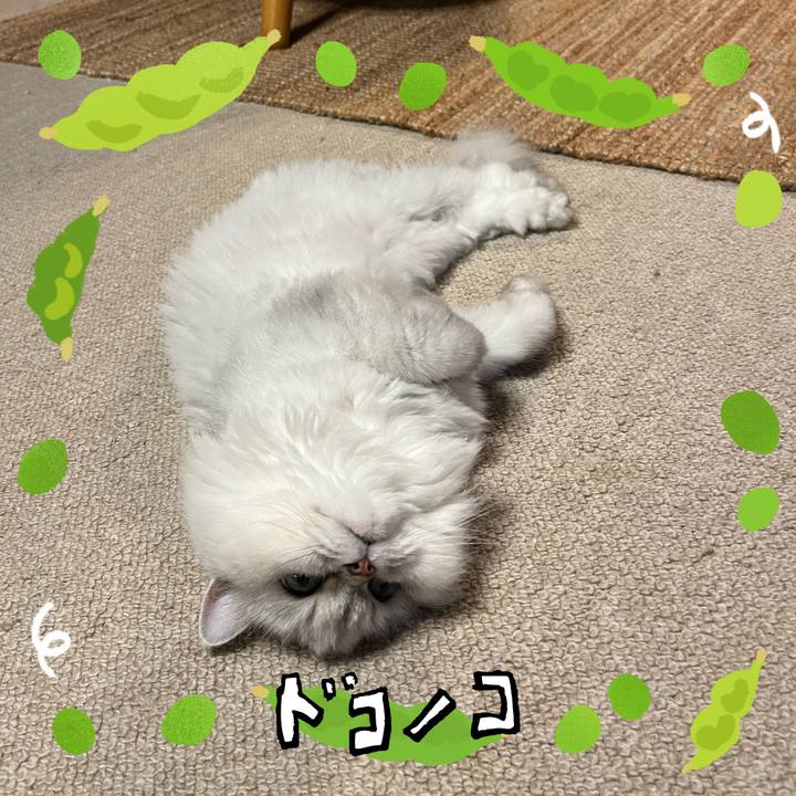 Efca53f4 97f1 4ac8 b883 293bade1234a 1721010064207