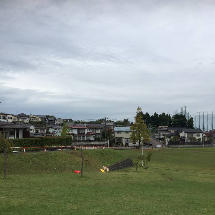 Efca5989 b50d 4c9a b63c 494adea92892 1539743316081