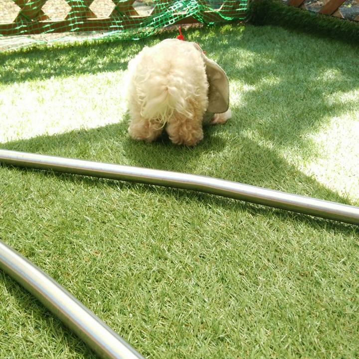 Efca6068 14e4 47cc 9efe ec9de14a95f6 1524745041238