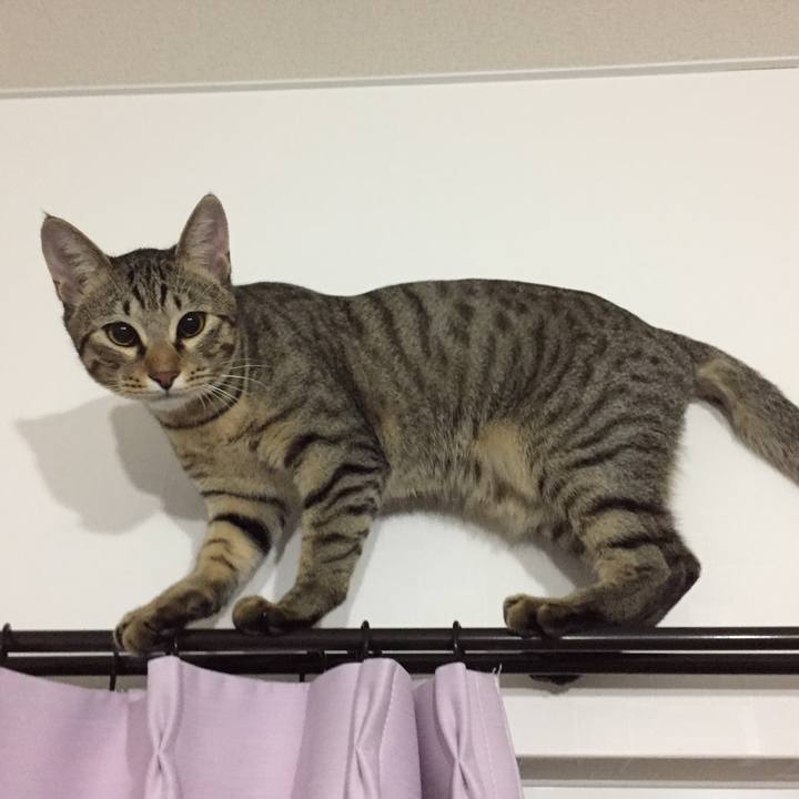 Efca7ab1 c2f8 4c7b bc33 71fdf75ff8ce 1514724800694