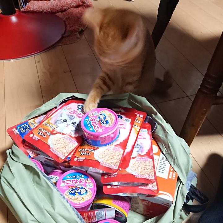 Efca9500 5eae 4503 b856 7c8ebcaf288a 1633167922981