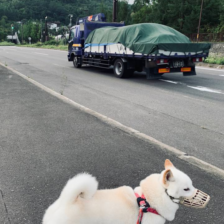 Efca9c9b 49b3 4665 bea1 205cacf0b8e9 1568412352668