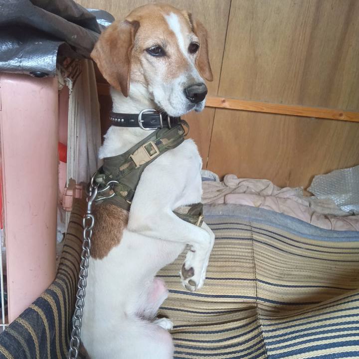 Efcae742 ca89 43b4 ba7b 133b77c7968d 1719396301563