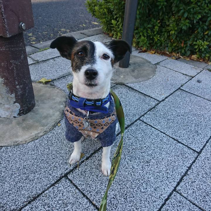 Efcaea6e 1d1f 463f 90f8 d727d23e6315 1512776083904