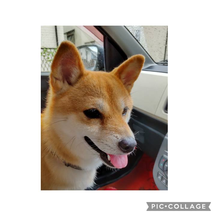 Efcb1df2 29a8 4e97 b671 fbb793ee7ba0 1693446226320