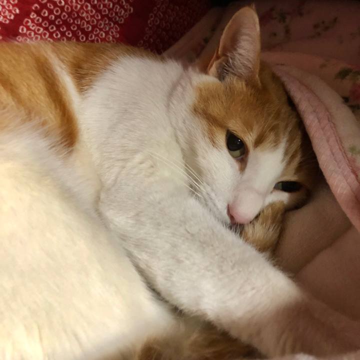 Efcb3f35 16c8 4ddc 8f8a 672627dddf4a 1553001589714