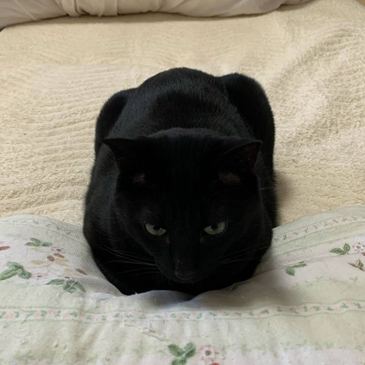 Efcb41d7 be77 4d27 a953 d3ed86679e09 1619054436194