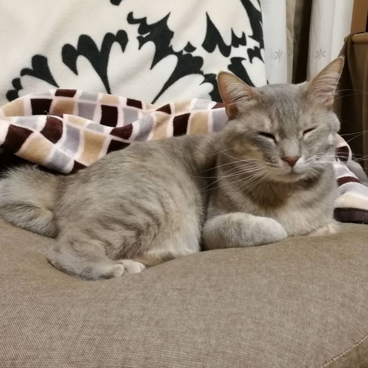 Efcb6be3 b2ee 4162 940e 8f36a96e84e7 1551622942719