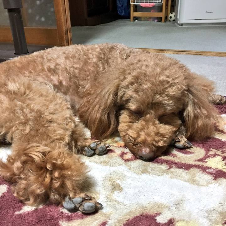 Efcbbb45 ce60 41bb b668 64e85402db6a 1525571002463