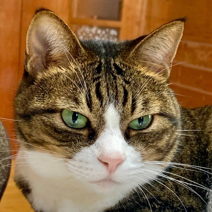 Efcbd70e c13b 4f86 89e0 2ff7b31b6834 1601690933486