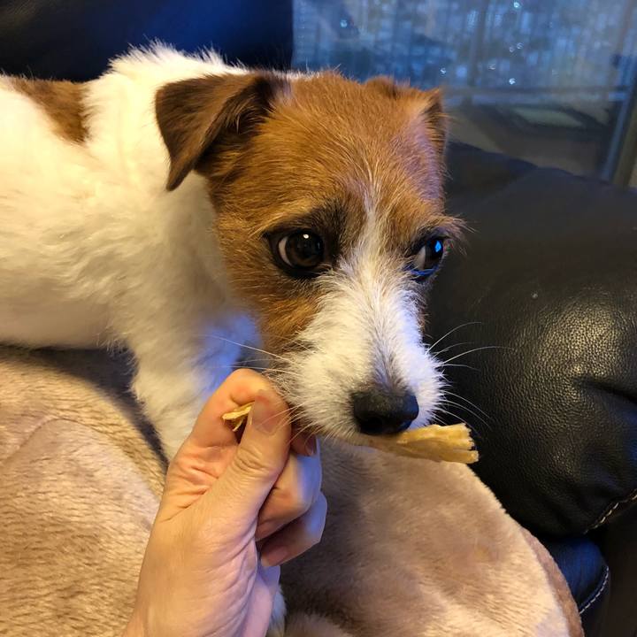 Efcbe70f 753f 4916 adcc 172efdfe98d3 1563967066432