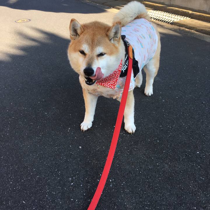 Efcc10ed 45b9 403c 9e79 fcd1656c72d2 1583452428407