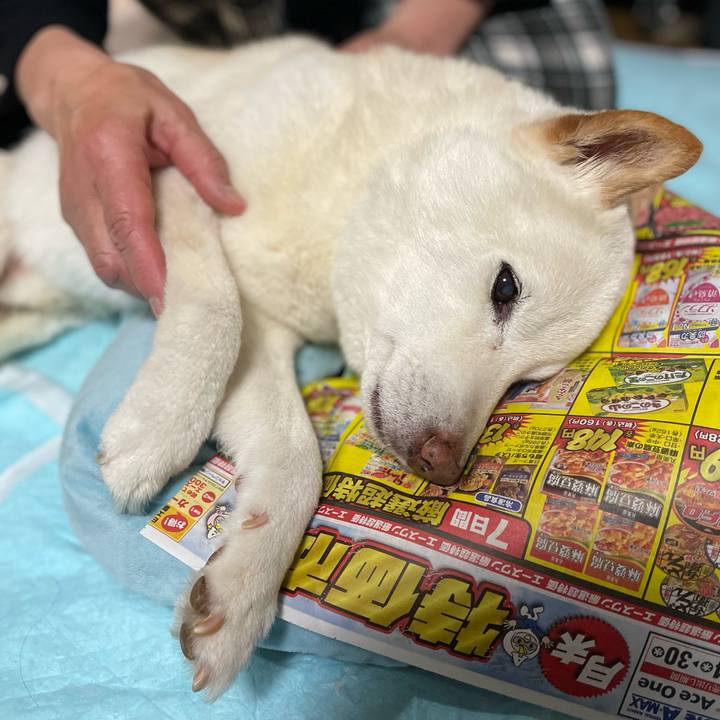 Efcc2681 daf8 43fb 99d1 084020a6ee48 1648138690929