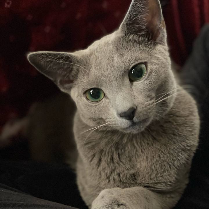 Efcc3163 6d5b 42c9 8023 3b5651ec32f4 1614223801127