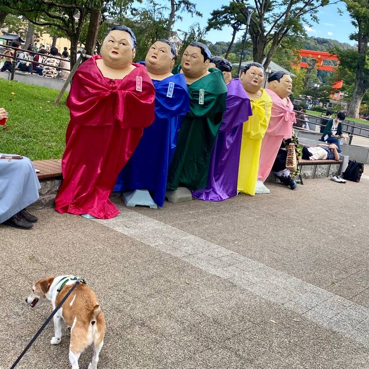 Efcc61f3 711b 43e7 81b1 7a59ed7f8d85 1600498538647