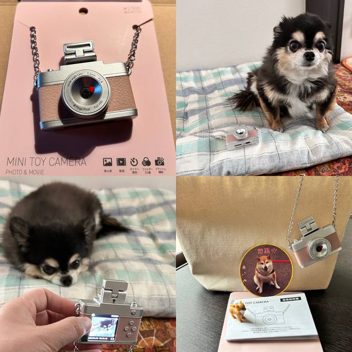 Efcc7eba 50e1 4998 a7f5 756711e34ece 1744346122243