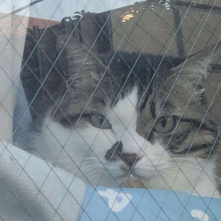 Efcc8370 7642 4fe4 88bf da0b36b13a7b 1771194744580