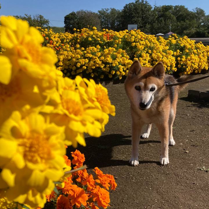 Efccafd2 bde6 40c1 ace9 d77a4ea262d0 1760683409054