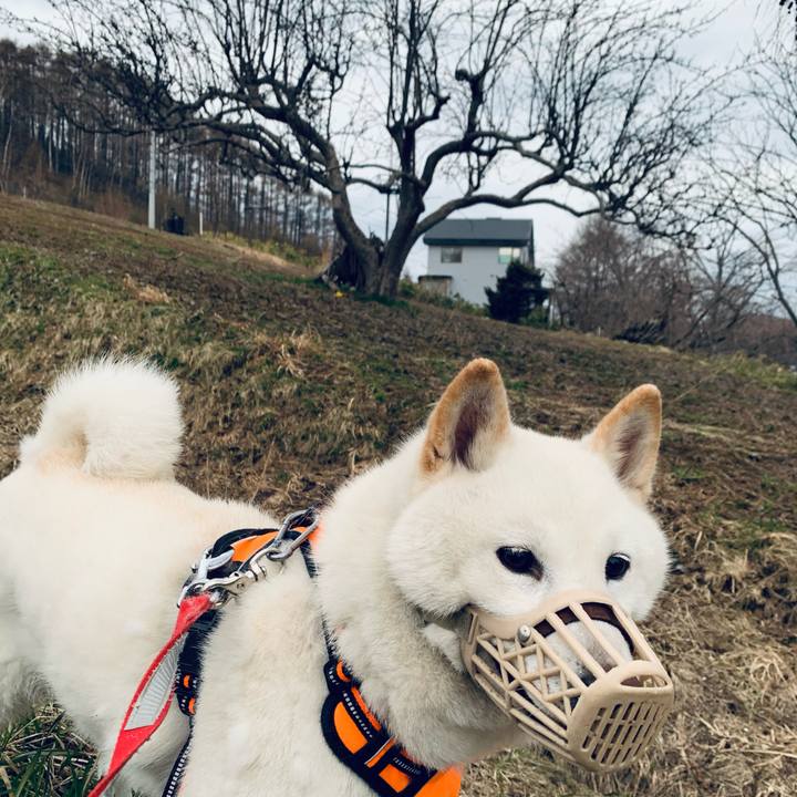 Efccc956 3efa 4cc7 b41c 2c78fc1324df 1619039868192