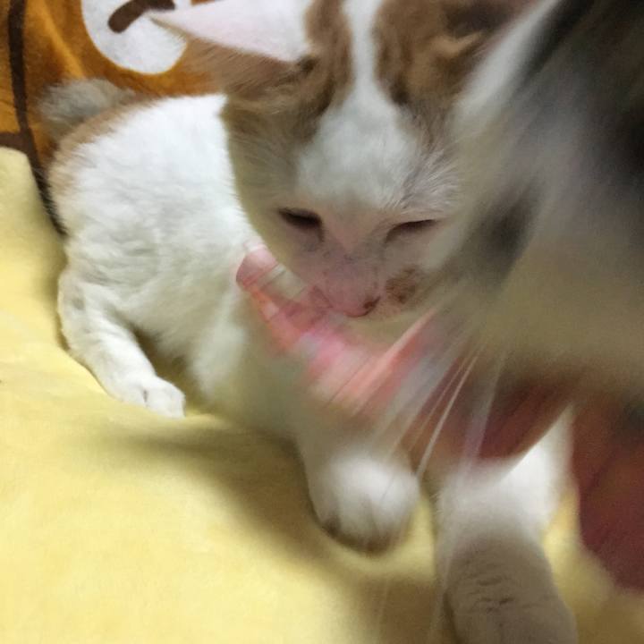 Efcccf77 0dfe 4ec6 91e8 a56a4a21c631 1544448935698