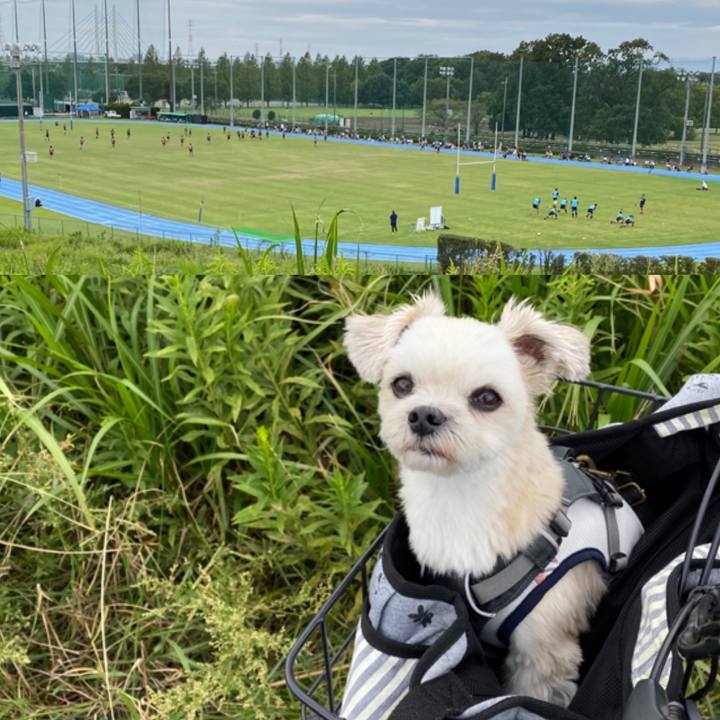 Efccd431 0868 4b96 91e1 cbf7e41d1da1 1569656296289