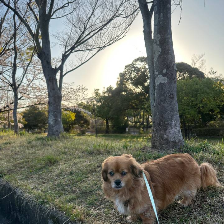 Efccdb2c d3c0 4066 b5b6 08855e39e6a8 1680041523711