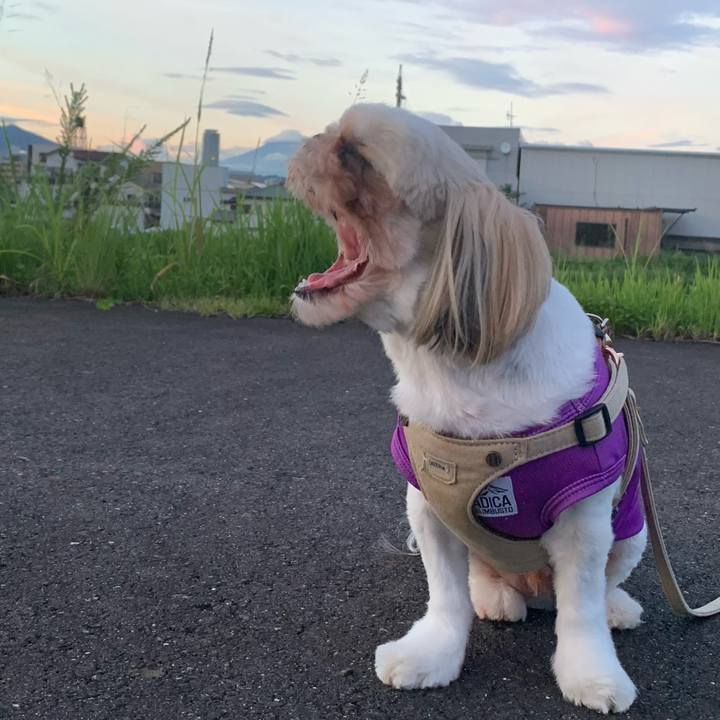 Efcd18ba 116d 4e1f a2c4 f4b5fd41bf8c 1626349899340