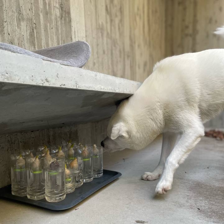 Efcd617c acff 47ed a6c8 7caa709058ff 1739442196327