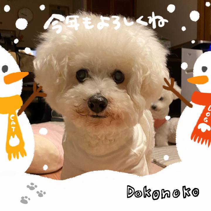 Efcdc4ce e8b7 4a44 af6c 13402b22bffc 1704372687700