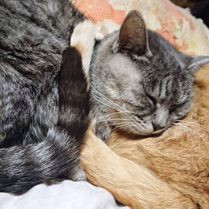 Efcdcc06 d989 4ac4 9aa4 7429868a6729 1606649653686