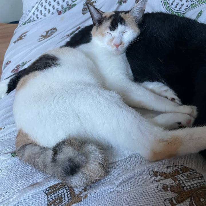 Efcdcdcf 0f9f 4b25 9be5 0f76e0723ace 1693900138057