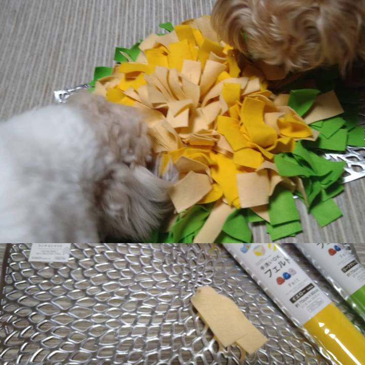 Efcddcbe a997 4241 829b 855b6f003c3b 1617711468358