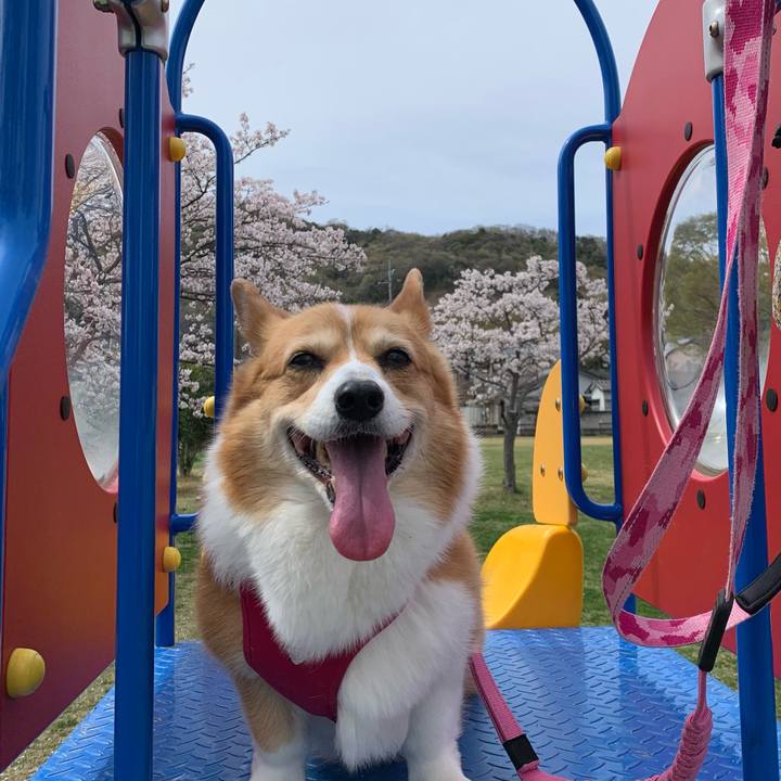 Efcdec96 f613 4d2b 98d4 76ec9239f47f 1679889738267