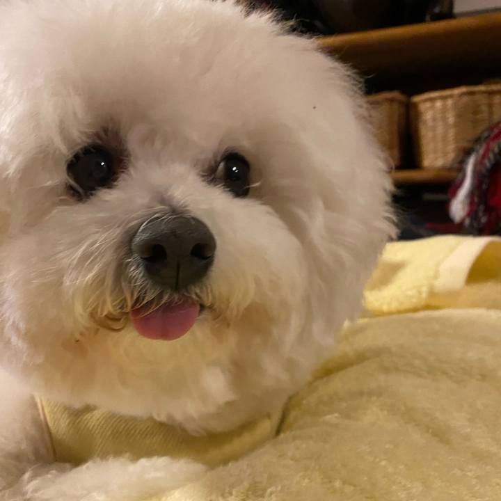 Efcdf9b3 e5cc 4d3f b487 426ea354dae5 1670587982387