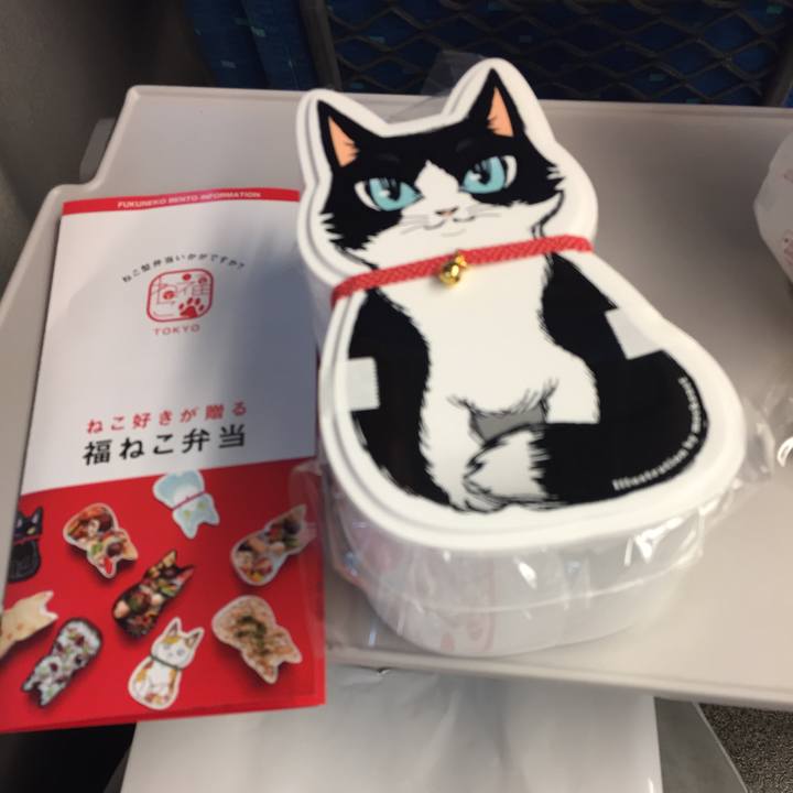 Efce066d d27b 4894 8836 bc7aba3c2878 1565930288128