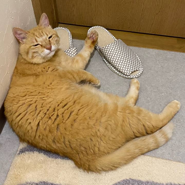 Efce13ef 85e0 44dd b27d 55a022f03c1d 1751196463624