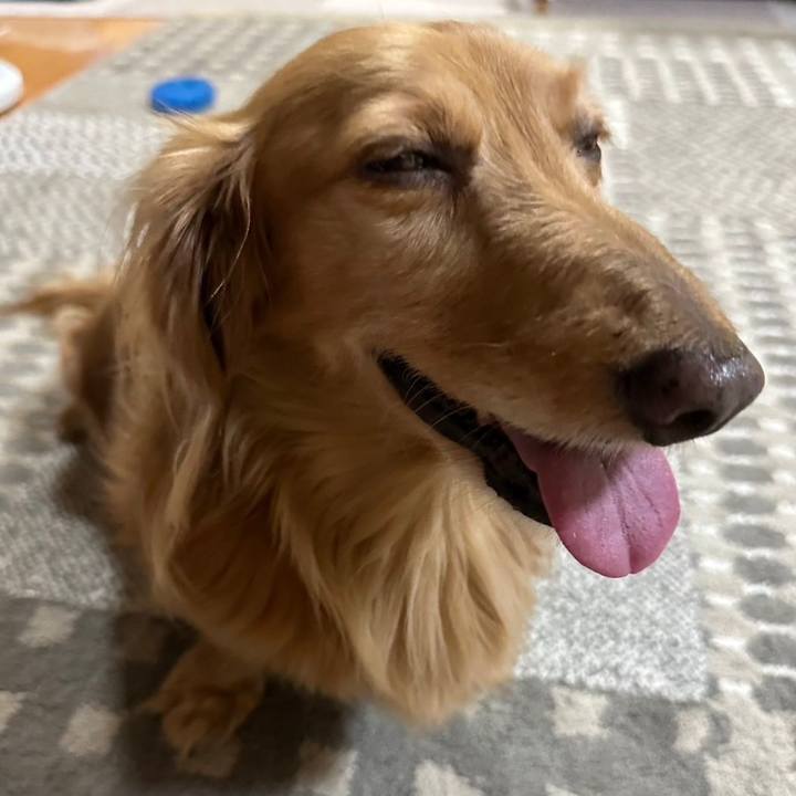 Efce339c 2b2a 43d2 949a 21a591f90db4 1687172898842