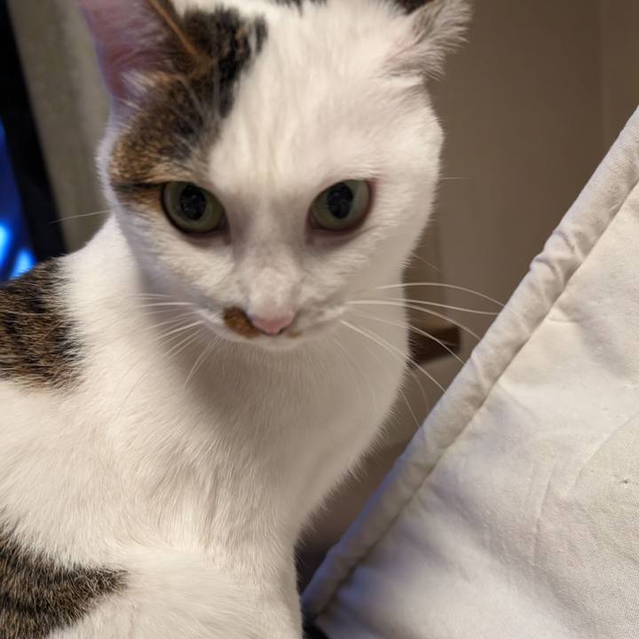 Efce6388 a2fa 4e8b 844f fefd248fe278 1701444014060