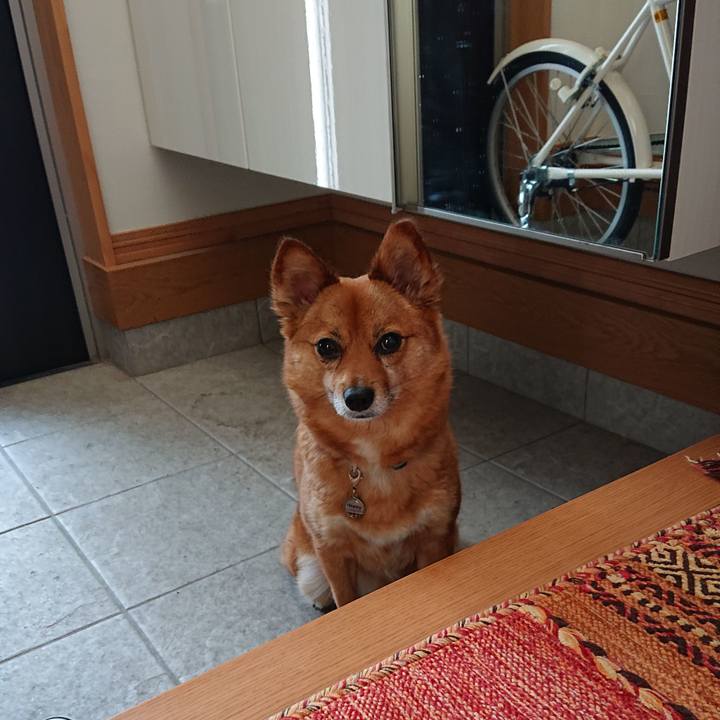 Efce65ab 1da2 465a 90f2 d397dfc24bac 1558479260938