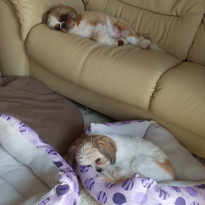 Efce6ea1 f2ee 41bb bf16 e172cc71cf1c 1597980551321