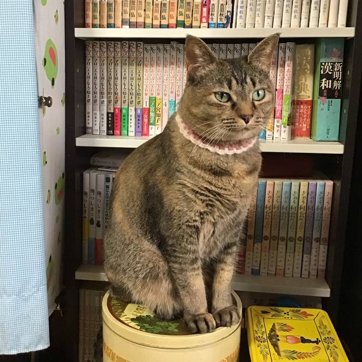 Efce8a23 cf9e 4220 90ae 1ca7c44dae5d 1714376323395