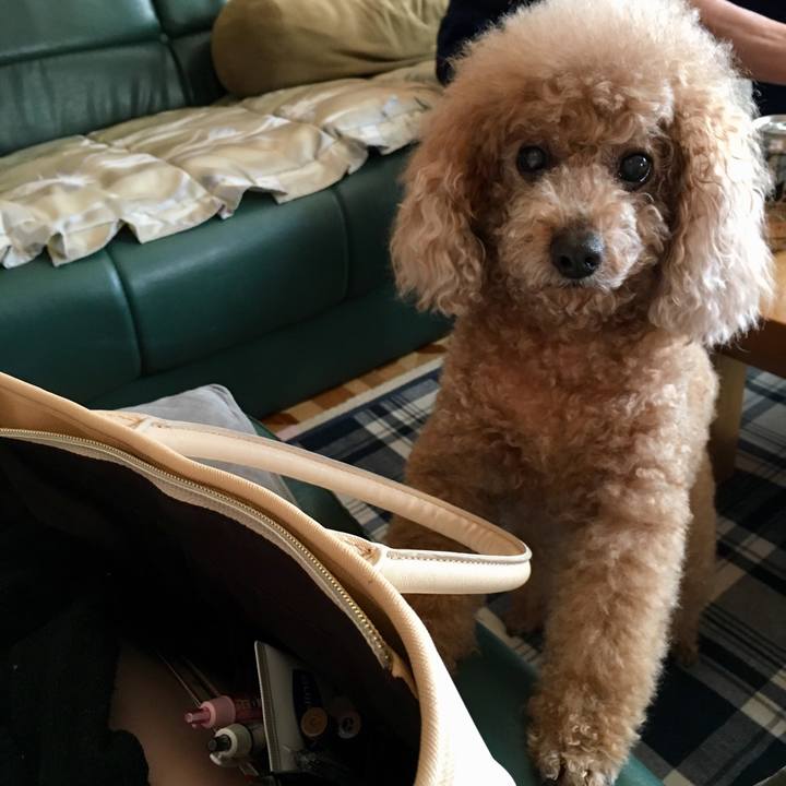 Efce8f0d de7a 4374 bdca deef09e5c154 1526379970141