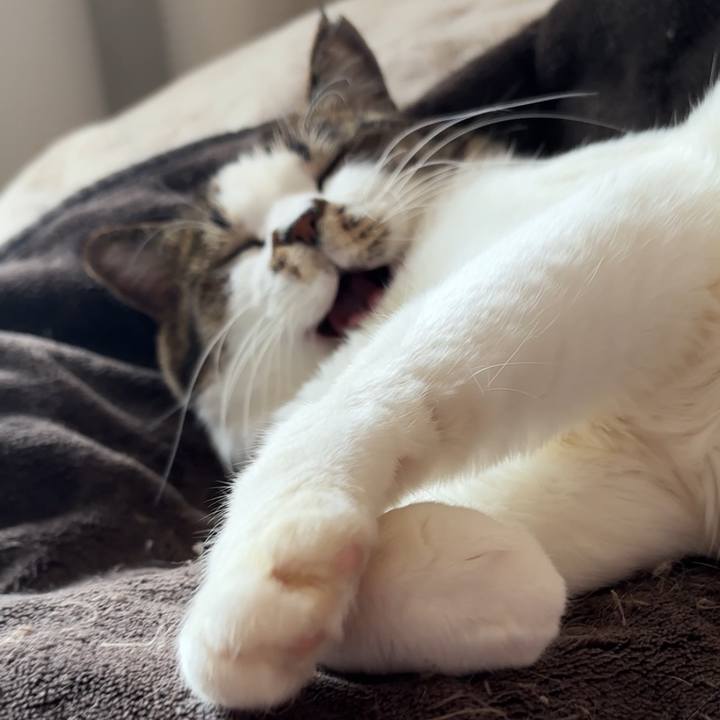 Efce9161 71de 4060 b2b6 1d62fcfb7ba0 1766206498759