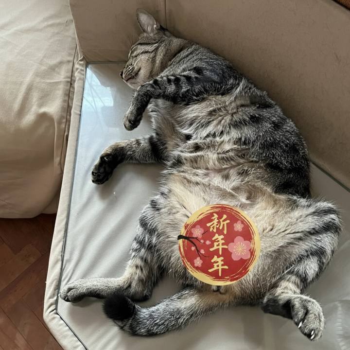 Efce91b2 a06a 4eed 9766 fe1515f85c7a 1767340140732