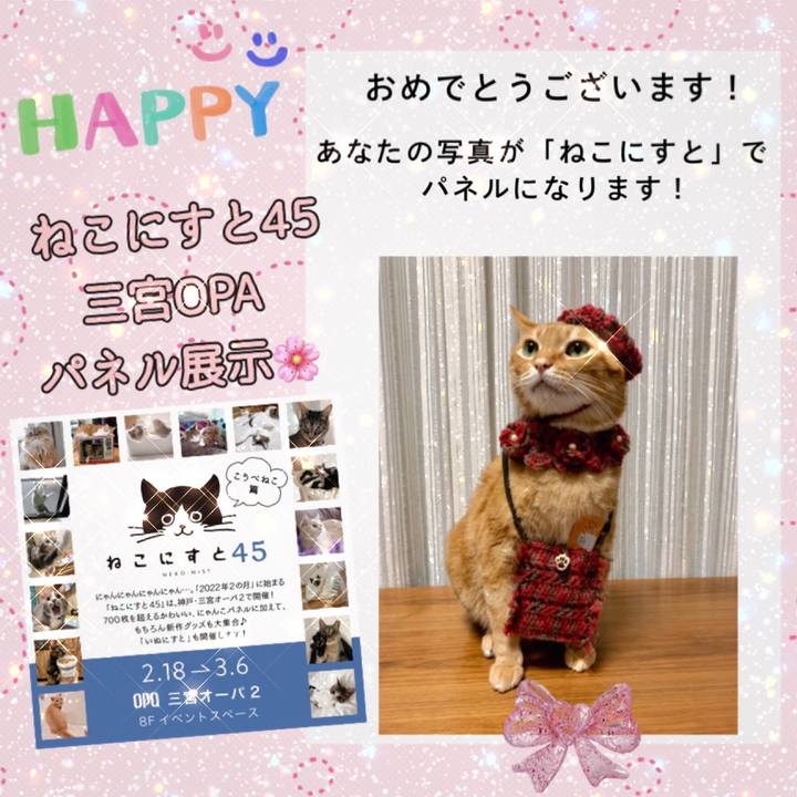 Efce923e 4a74 4e86 9b97 161dc8b35e91 1642478777481