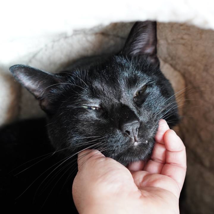 Efceb3da 03ce 4593 a943 243d79ed74c9 1573084438238