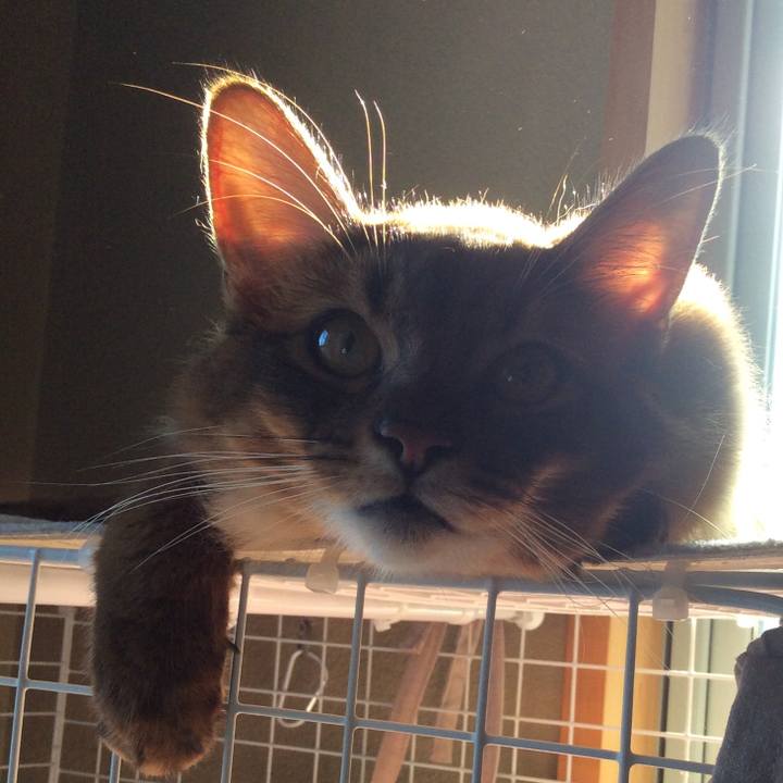 Efcebd46 69ce 411e b0ac 6f52a6ba8be0 1598838300522