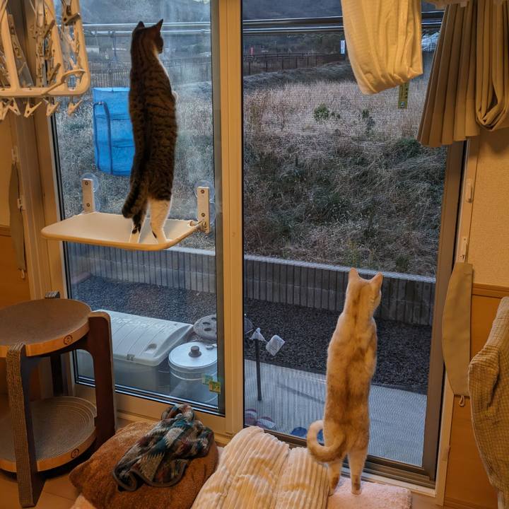 Efcec5e9 f1a3 45f5 a800 5f0798b7b62b 1703714858715